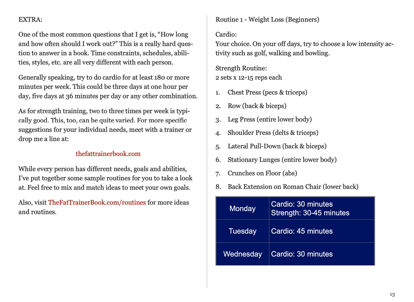 The Fat Trainer eBook PDF