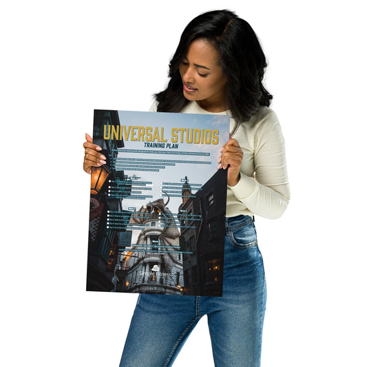 Universal Studios Training Plan - Dragon