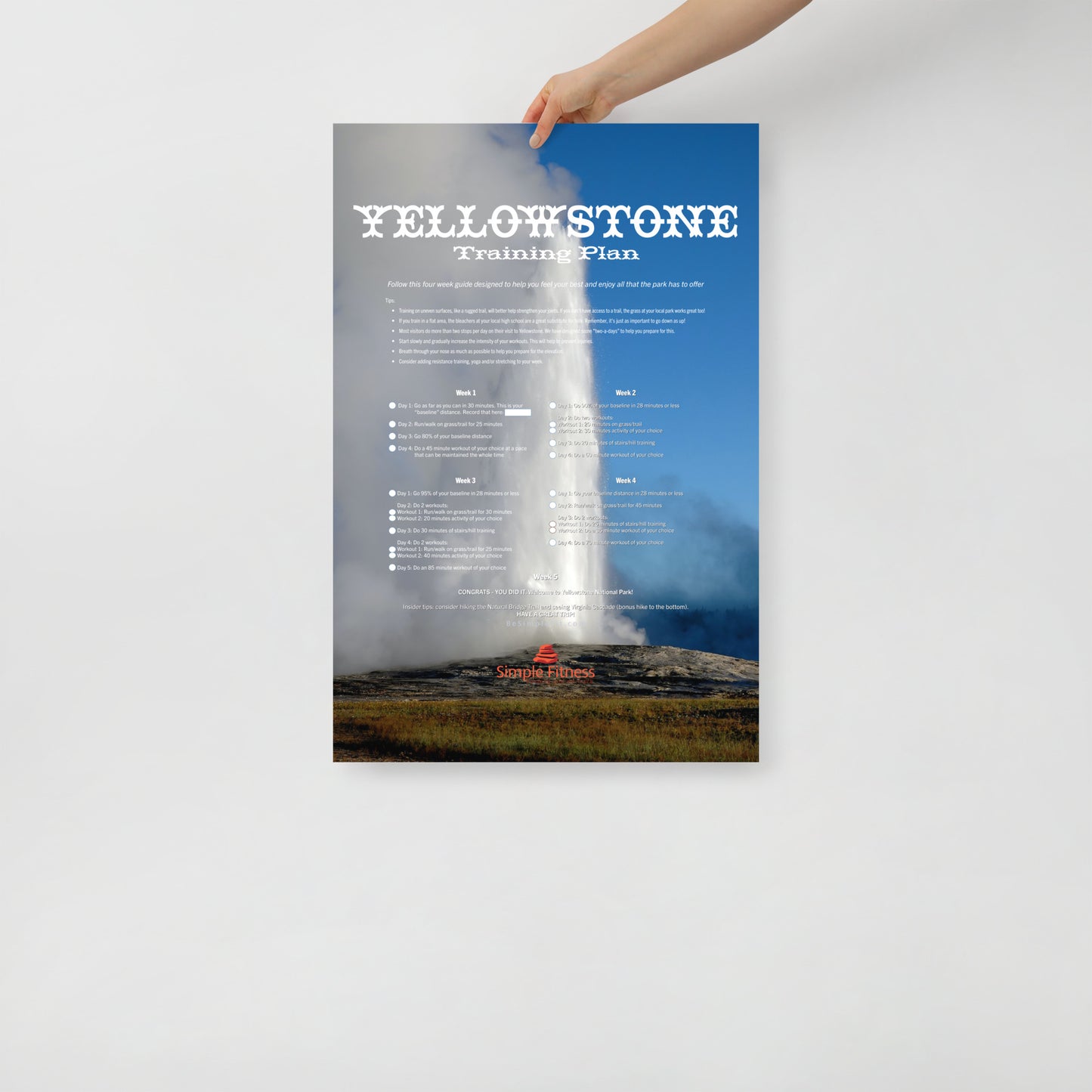 Yellowstone National Park Training Plan Poster