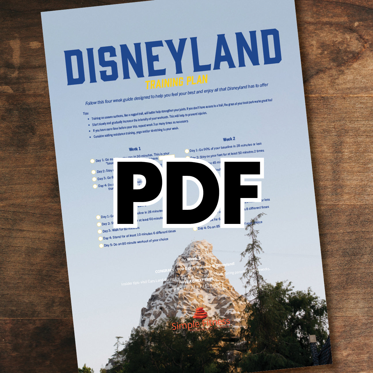 Disneyland Trip Training Plan Poster