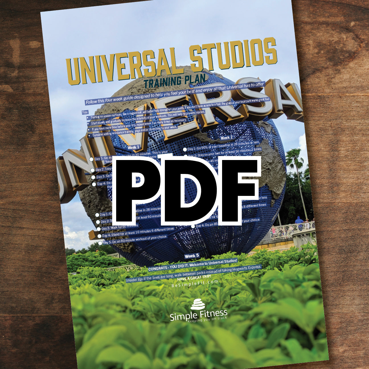 Universal Studios Training Plan - Globe